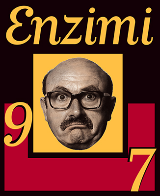 Enzimi - Logo